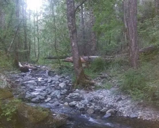 Beaver-Sulphur Group Campground