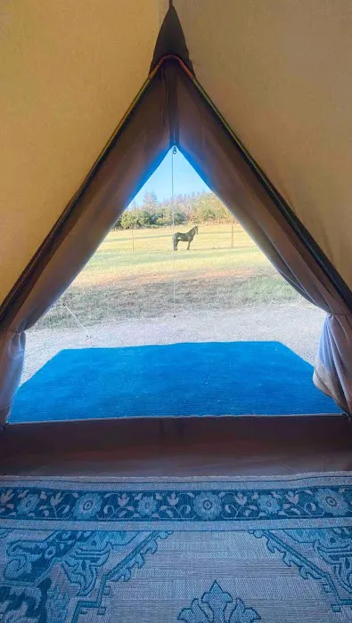 T7GR (777 Guest Ranch) 9