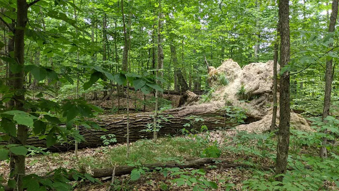Highland State Recreation Area Group Camping Area 8