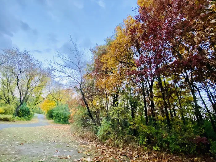 Pontiac Lake State Recreation Area Campground 4