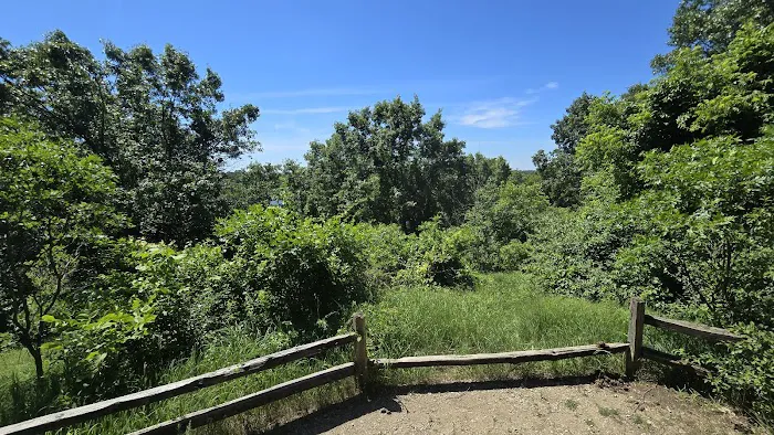 Pontiac Lake State Recreation Area Campground 3