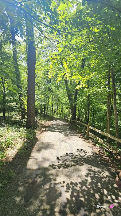 Lakeview Shelter H - Stoney Creek Metropark 1