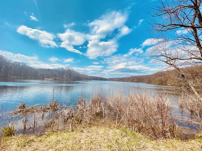 Holly Recreation Area Organizational Campground 1