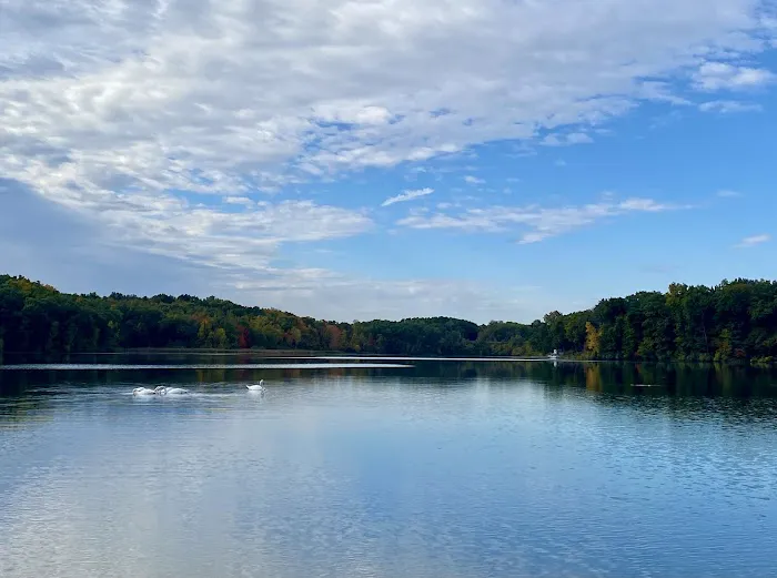 Holly McGinnis Lake Campground 5