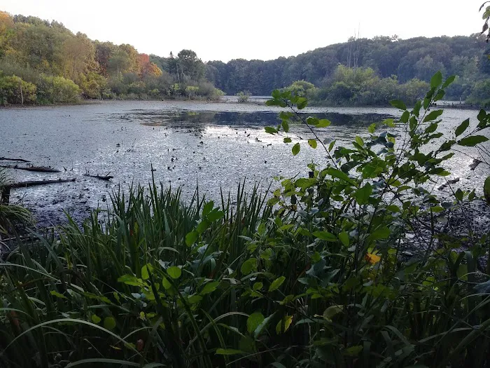 Holly McGinnis Lake Campground 9
