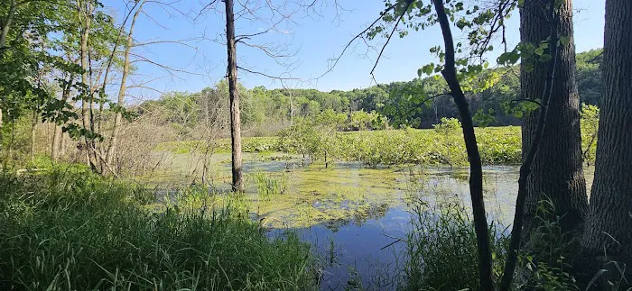 Holly McGinnis Lake Campground 6