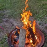 River Raisin Canoe Livery