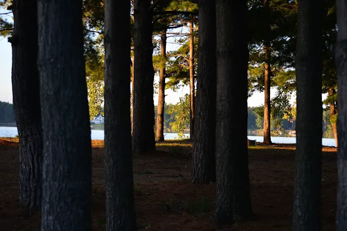 Wolverine Campground 1