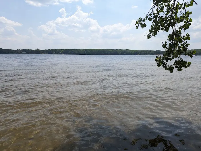 Wolverine Campground 3