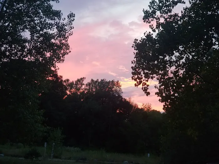Attica Pines Campground 9