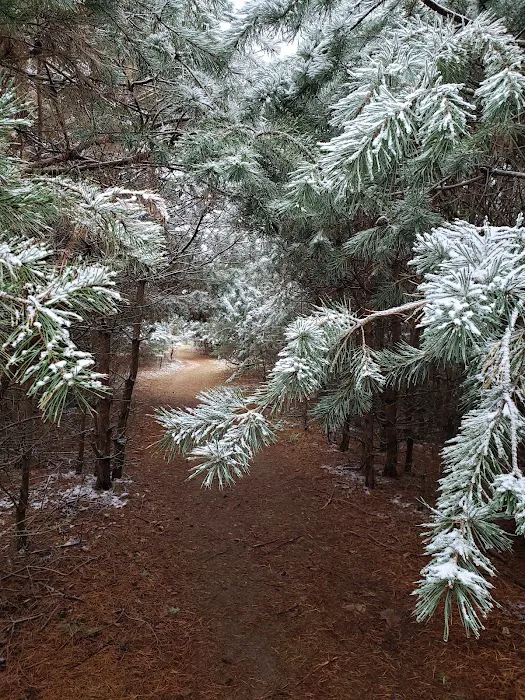 Evergreen Campgrounds 2