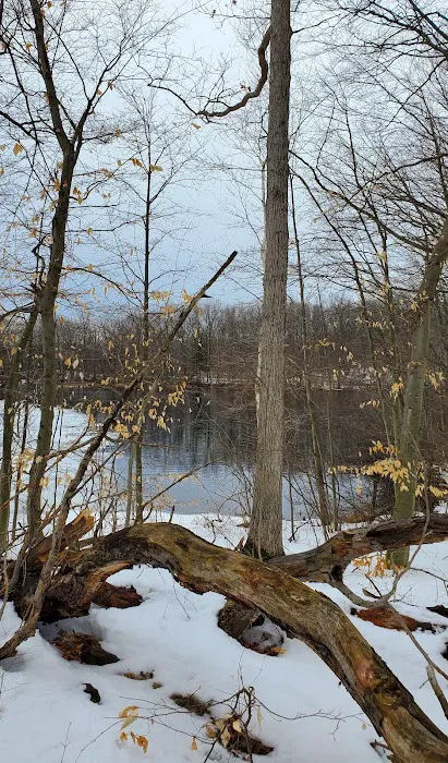 Oxbow Campground 4