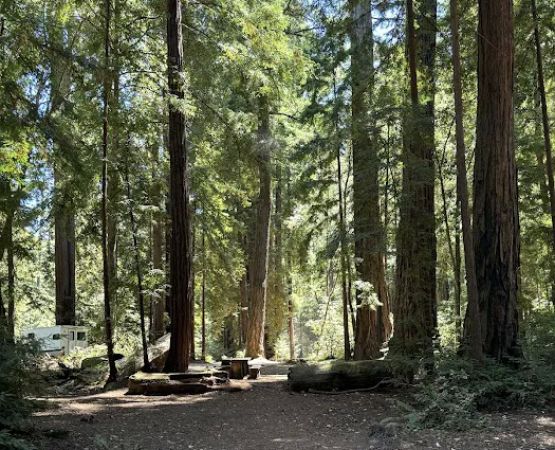 Sequoia Flat Campground