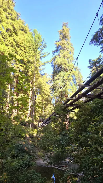 Doug Fir Group Site 2