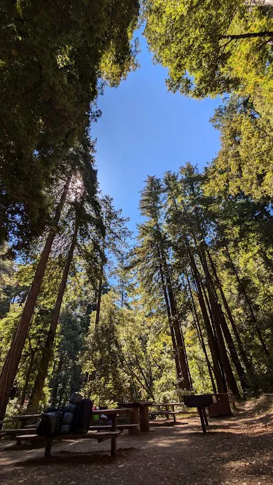Doug Fir Group Site 0