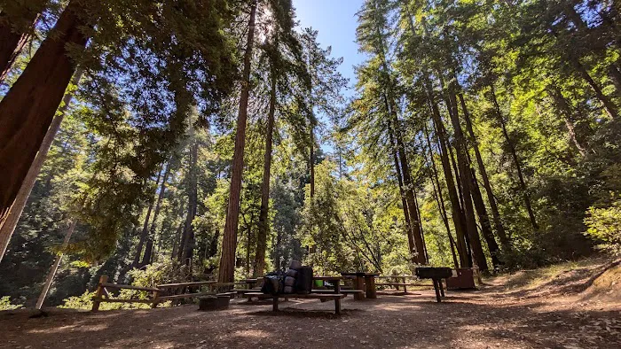 Doug Fir Group Site 8
