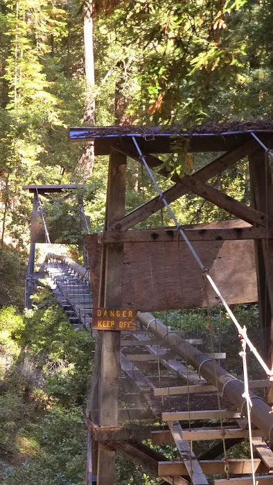 Doug Fir Group Site 6
