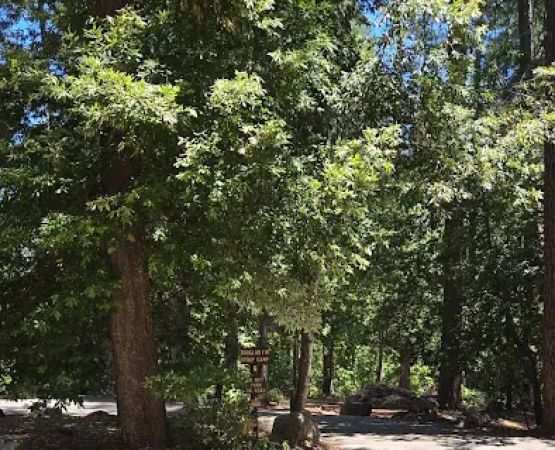 Douglas Fir Group Campground