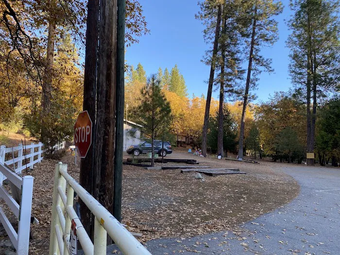 Capital Mountain Camp 1
