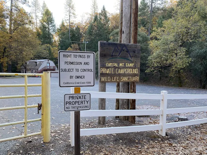 Capital Mountain Camp 9