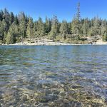 Manzanita Day Use Area