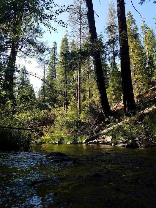 Manzanita Day Use Area 2