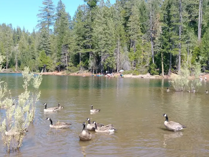 FORBES CREEK 1