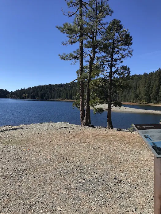 FORBES CREEK 0