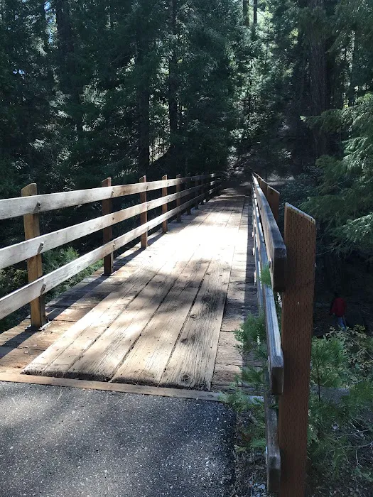FORBES CREEK 5