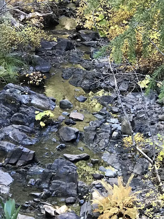 FORBES CREEK 4