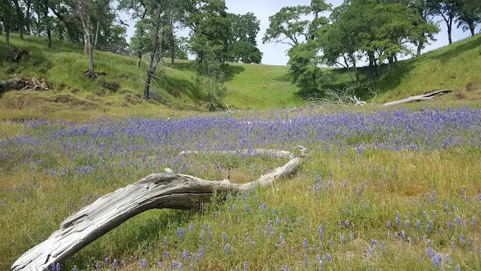 Peninsula Campground 4