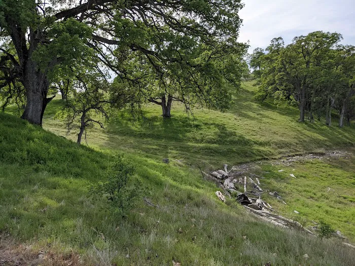 Peninsula Campground - Folsom Lake 2