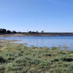 Beals Point Campground