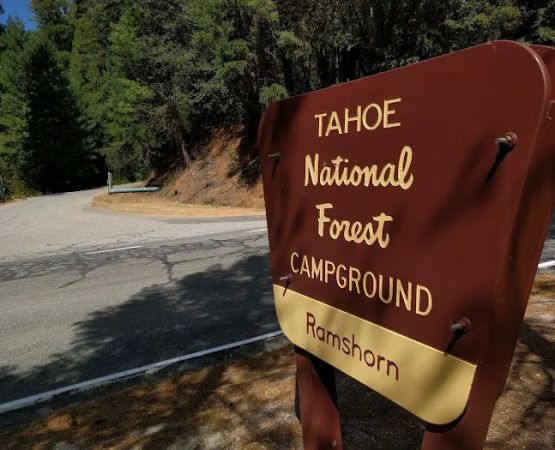 Ramshorn Campground