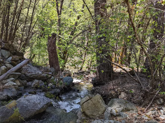 Loganville Campground 4