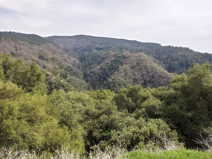Carlton Campground 4