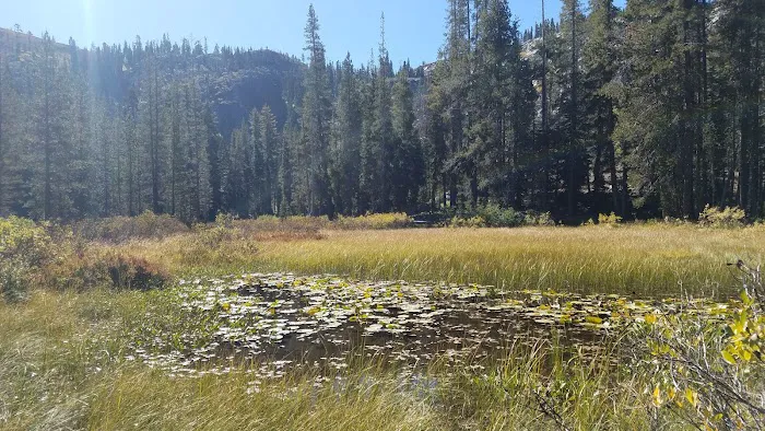 Gold Lake 4x4 Campground 8