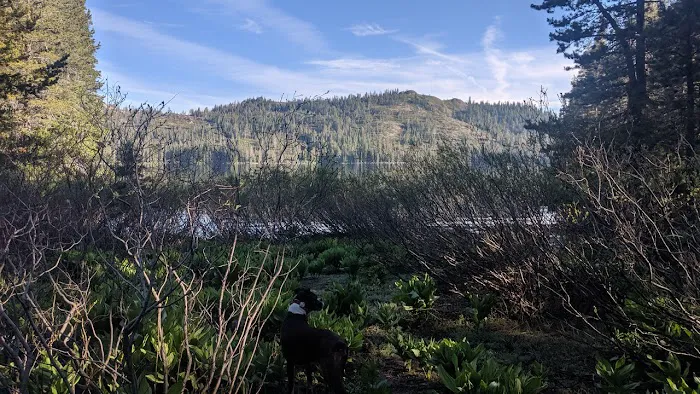 Gold Lake 4x4 Campground 9
