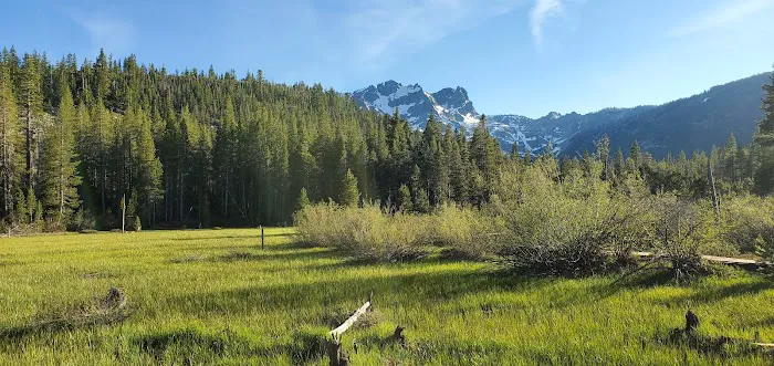 Sardine Campground 2