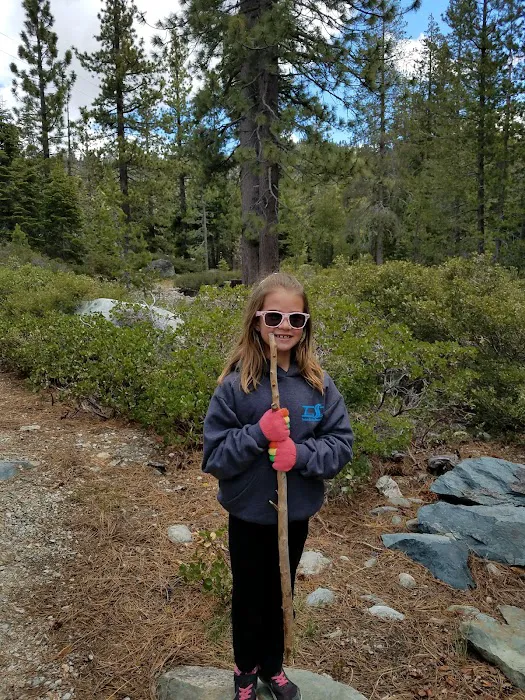 Sardine Campground 5