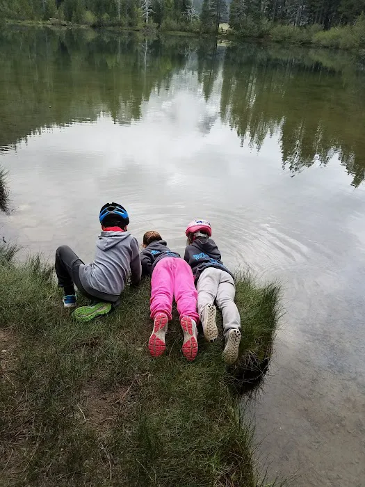 Sardine Campground 7