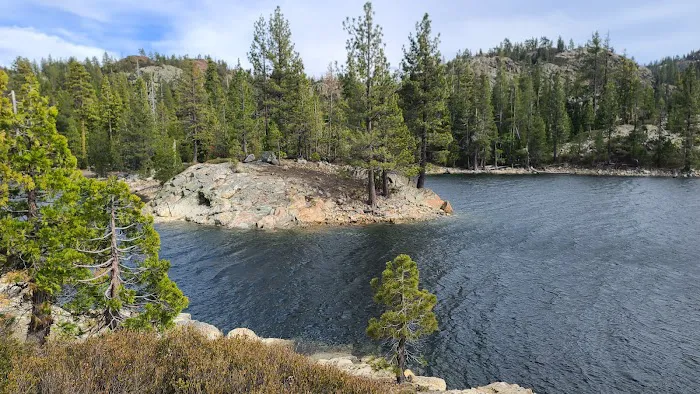 Bowman Campground 8