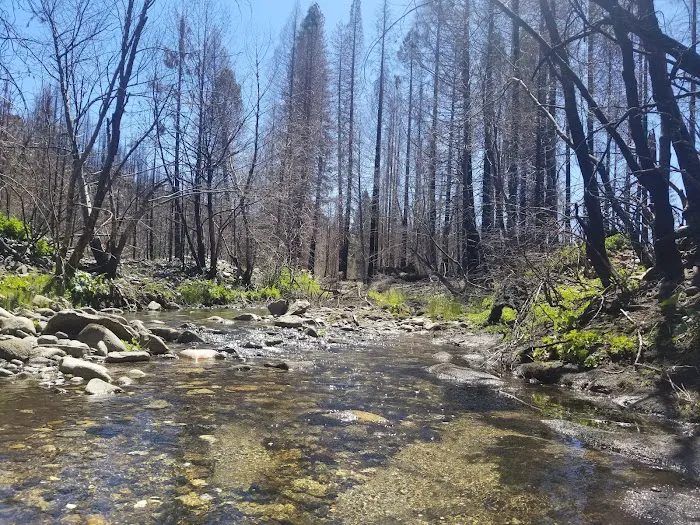 Fall River Campground 0