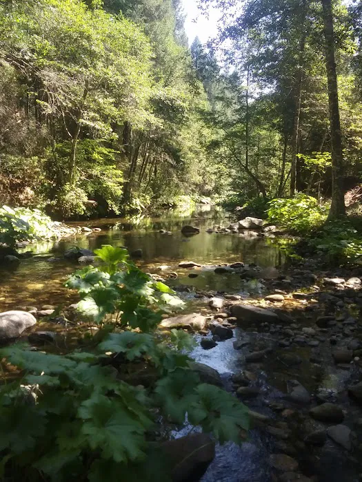 Fall River Campground 3