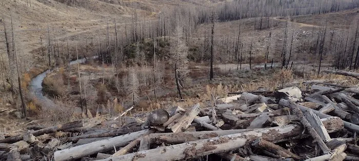 Fall River Campground 5