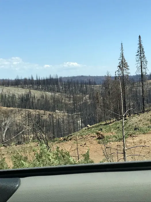 Fall River Campground 7