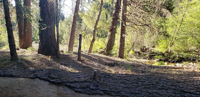 Fall River Campground 4