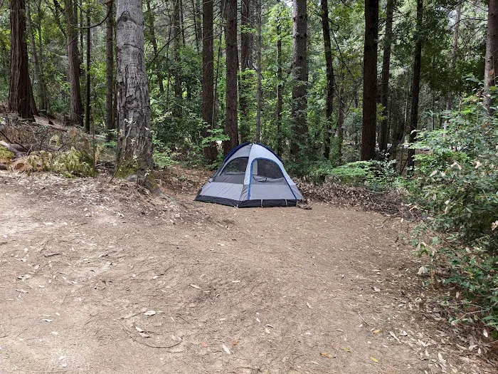 Dark Day Campground 9