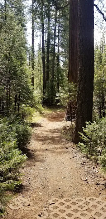 Foresthill, Sugar Pine Staging Area 1