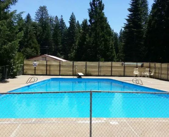 Camp Paradise